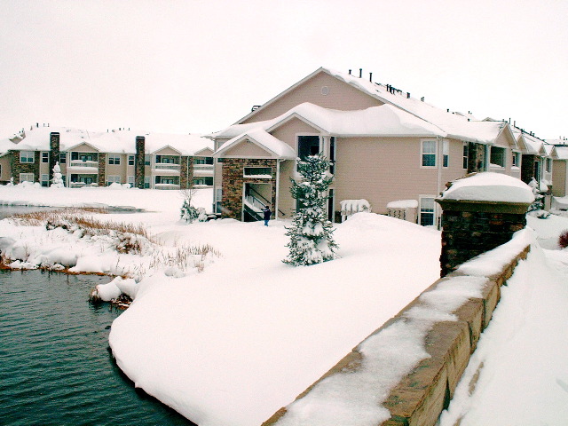 lake side snowdrift