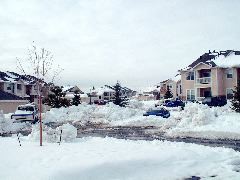 Snowbanks